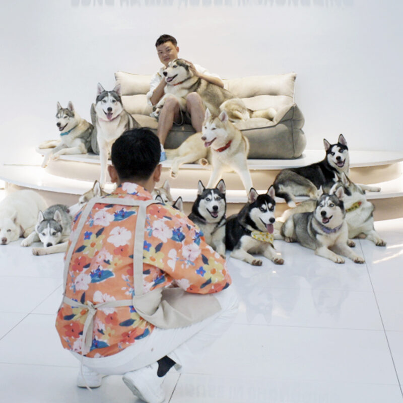 THE DATING GAME 2 thumbnail